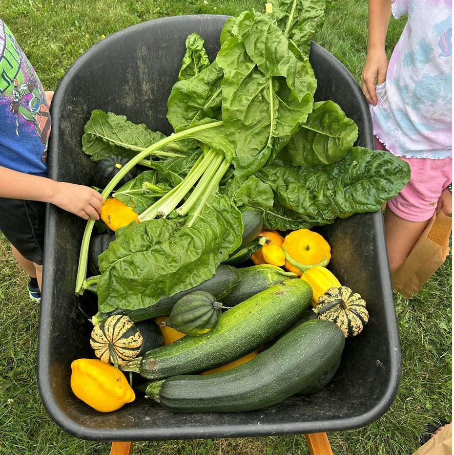 A wheelbarrow, seen from above, is filled with fresh produce. Two children stand alongside. 